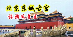 人妻暴乳中国北京-东城古宫旅游风景区